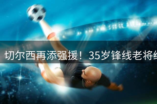 切尔西再添强援！35岁锋线老将维尔贝克签约两年