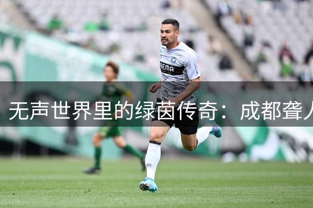 无声世界里的绿茵传奇：成都聋人足球队问鼎省残特奥会冠军