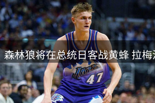 森林狼将在总统日客战黄蜂 拉梅洛·鲍尔将首次重返夏洛特主场