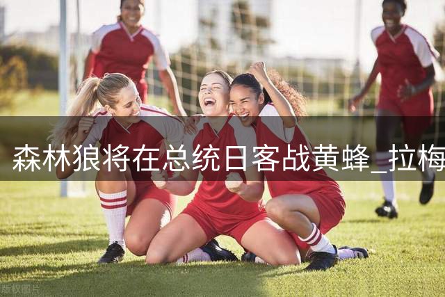 森林狼将在总统日客战黄蜂 拉梅洛·鲍尔将首次重返夏洛特主场
